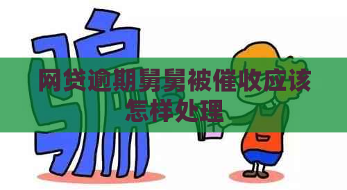 网贷逾期舅舅被应该怎样处理