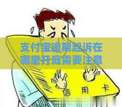 支付宝逾期起诉在哪里开庭需要注意什么