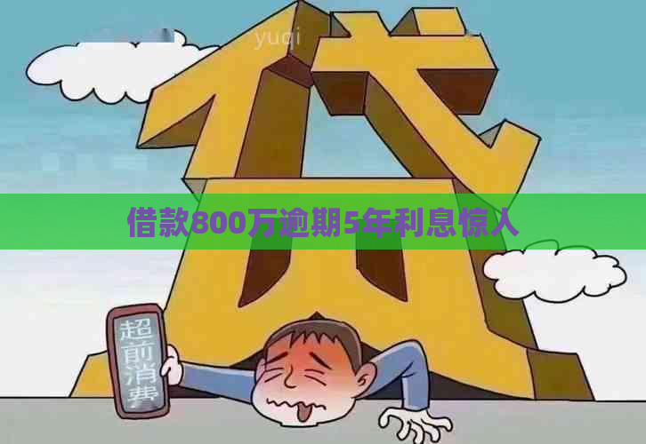 借款800万逾期5年利息惊人