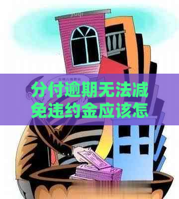 分付逾期无法减免违约金应该怎么处理