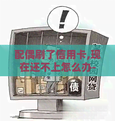 配偶刷了信用卡,现在还不上怎么办-配偶刷了信用卡,现在还不上怎么办呢