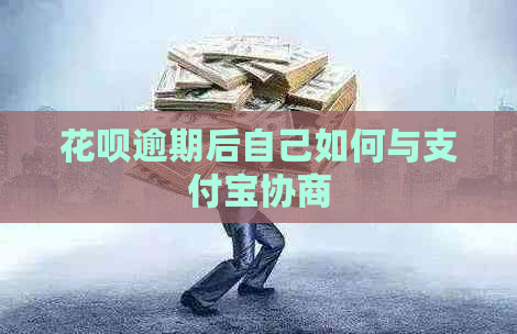 花呗逾期后自己如何与支付宝协商