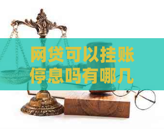 网贷可以挂账停息吗有哪几种方法