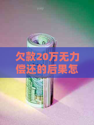 欠款20万无力偿还的后果怎么办