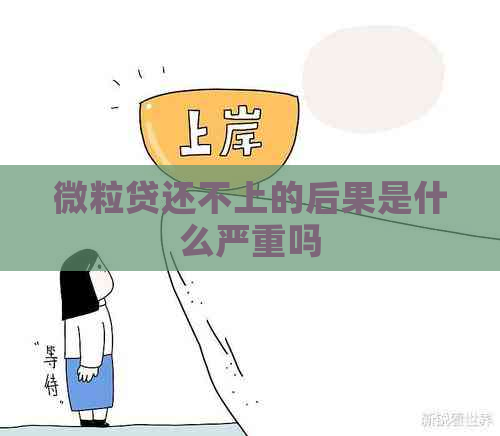 微粒贷还不上的后果是什么严重吗