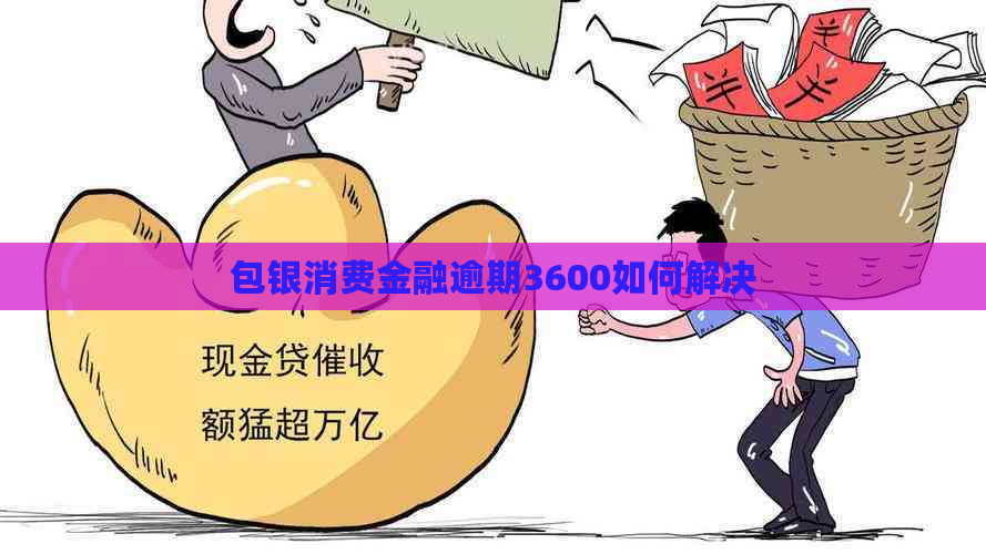 包银消费金融逾期3600如何解决