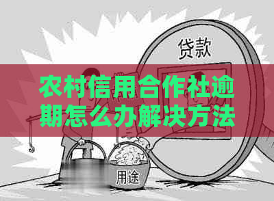 农村信用合作社逾期怎么办解决方法有哪些