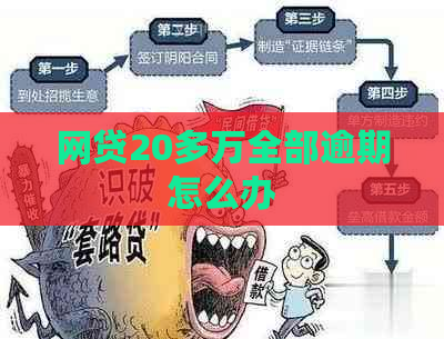 网贷20多万全部逾期怎么办