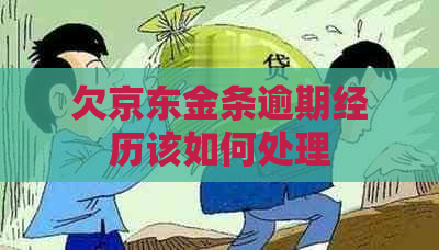 欠京东金条逾期经历该如何处理