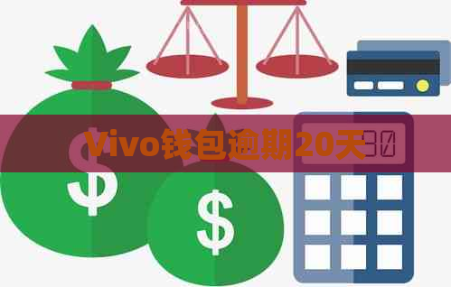 Vivo钱包逾期20天