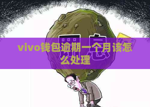 vivo钱包逾期一个月该怎么处理