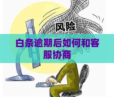 白条逾期后如何和客服协商