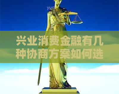 兴业消费金融有几种协商方案如何选择