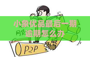 小象优品最后一期逾期怎么办