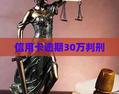 信用卡逾期30万判刑