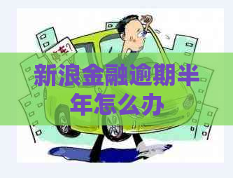 新浪金融逾期半年怎么办