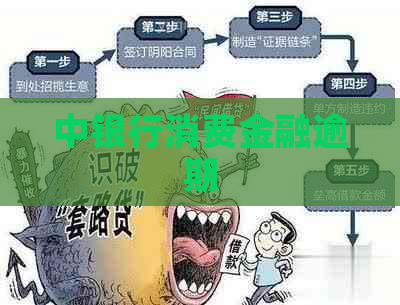 中银行消费金融逾期