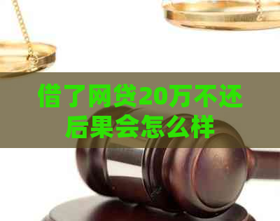 借了网贷20万不还后果会怎么样