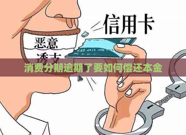 消费分期逾期了要如何偿还本金