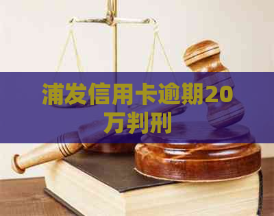 浦发信用卡逾期20万判刑