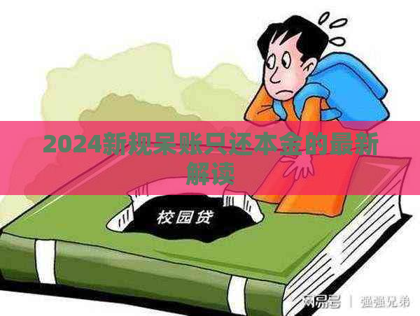 2024新规呆账只还本金的最新解读