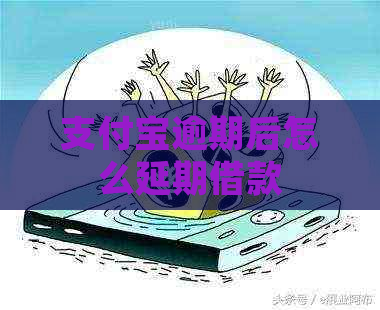 支付宝逾期后怎么延期借款