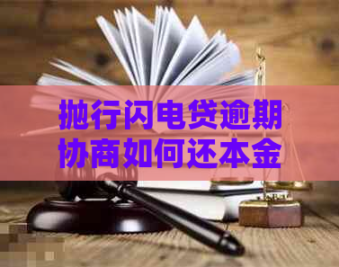 抛行闪电贷逾期协商如何还本金