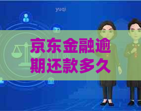 京东金融逾期还款多久会上门