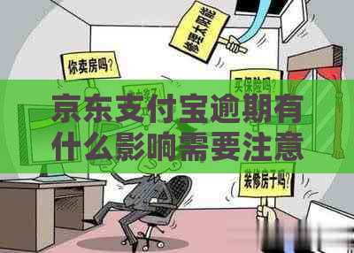 京东支付宝逾期有什么影响需要注意的事项