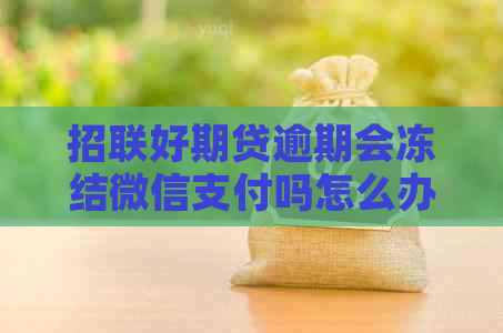 招联好期贷逾期会冻结微信支付吗怎么办