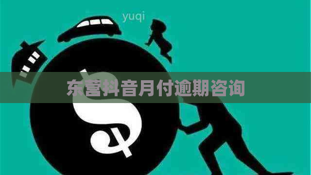 东营抖音月付逾期咨询