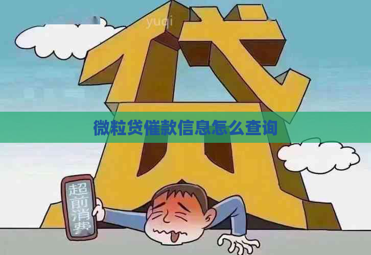 微粒贷催款信息怎么查询