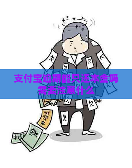 支付宝逾期能只还本金吗需要注意什么