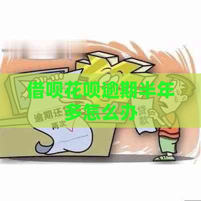 借呗花呗逾期半年多怎么办