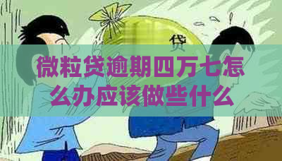 微粒贷逾期四万七怎么办应该做些什么