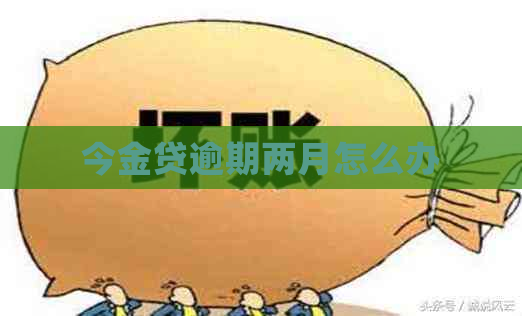 今金贷逾期两月怎么办