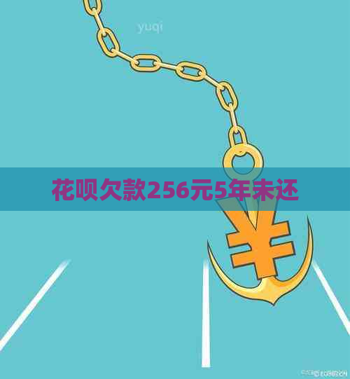 花呗欠款256元5年未还