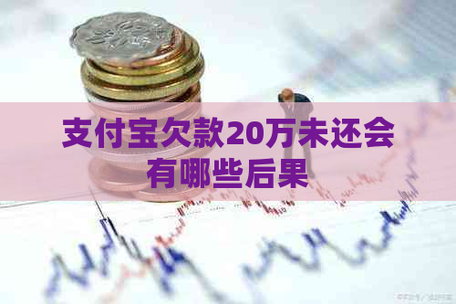 支付宝欠款20万未还会有哪些后果