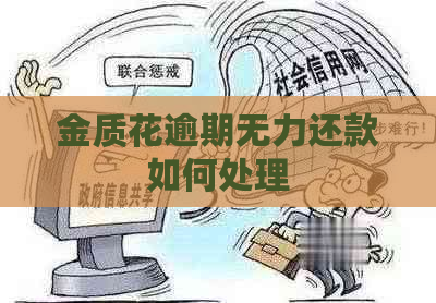 金质花逾期无力还款如何处理