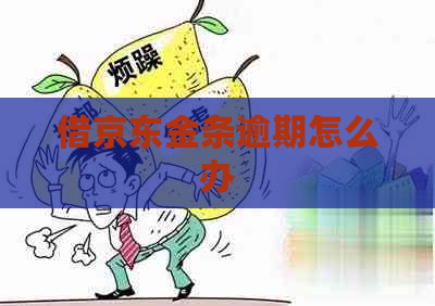 借京东金条逾期怎么办