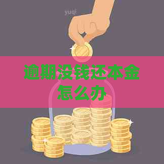 逾期没钱还本金怎么办