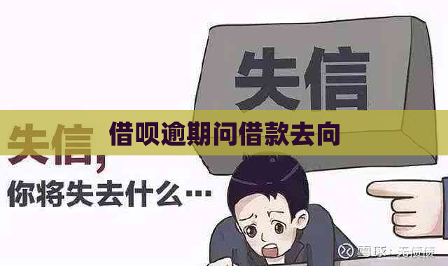 借呗逾期问借款去向