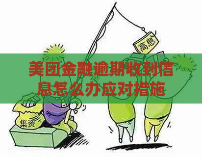 美团金融逾期收到信息怎么办应对措施