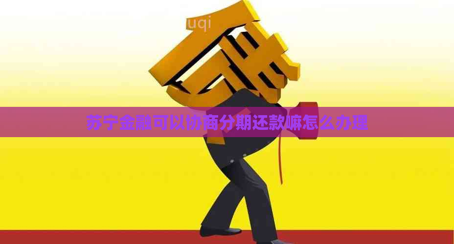 苏宁金融可以协商分期还款嘛怎么办理