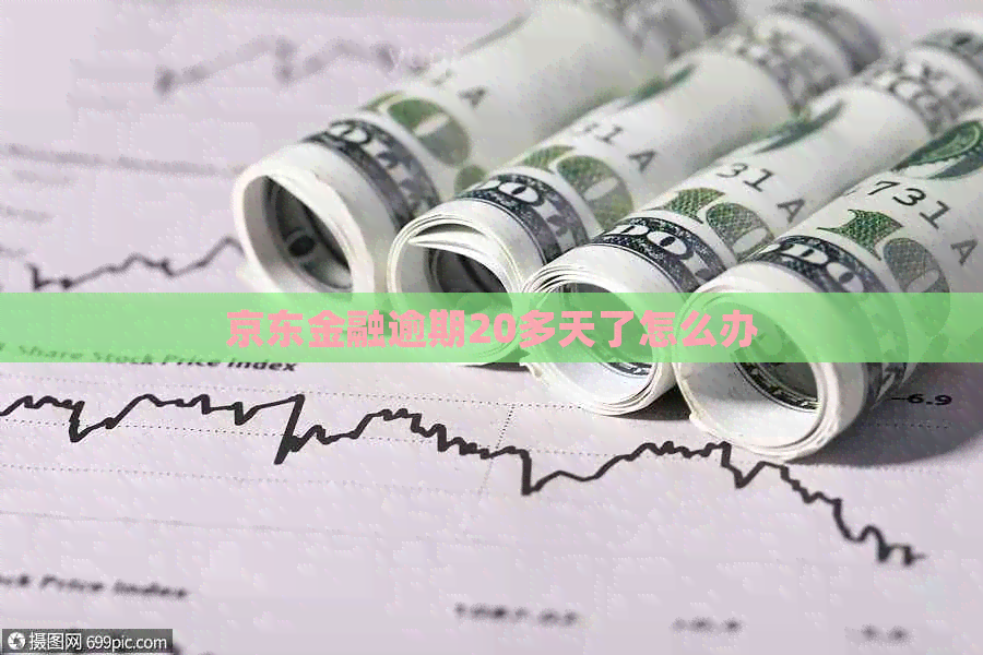 京东金融逾期20多天了怎么办