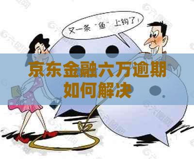 京东金融六万逾期如何解决