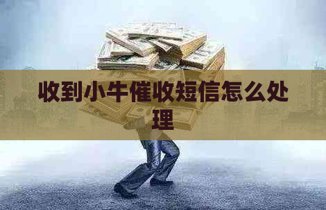 收到小牛短信怎么处理