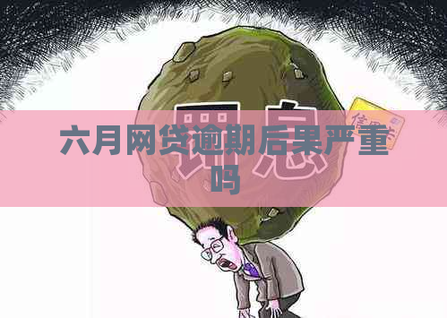 六月网贷逾期后果严重吗