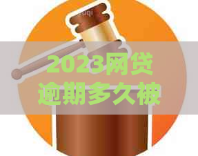 2023网贷逾期多久被起诉