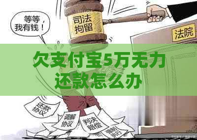 欠支付宝5万无力还款怎么办